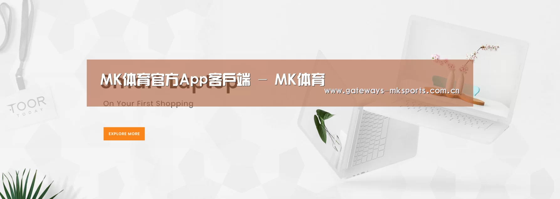 某某网络科技有限公司