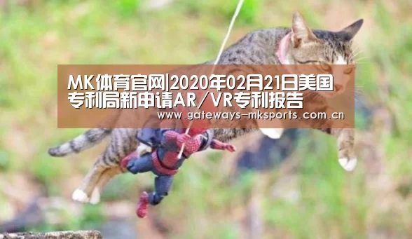 MK体育官网|2020年02月21日美国专利局新申请AR/VR专利报告(图1) MK体育中国