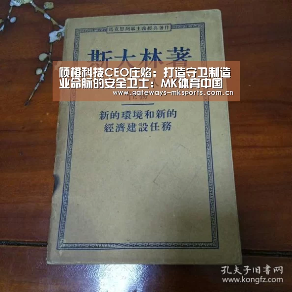 硕橙科技CEO庄焰:打造守卫制造业命脉的安全卫士:MK体育中国(图1) MK SPORT