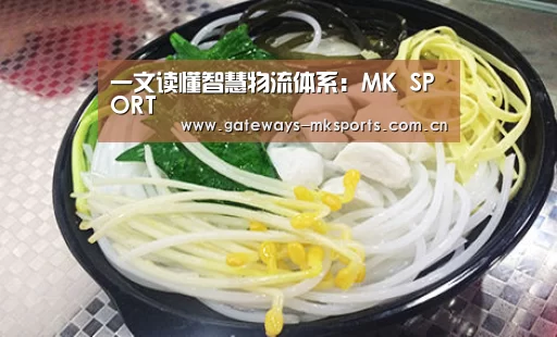 一文读懂智慧物流体系:MK SPORT(图1) MK体育