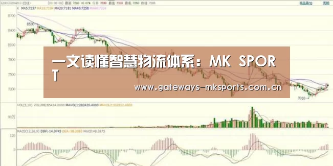 一文读懂智慧物流体系:MK SPORT(图2) MK体育官网