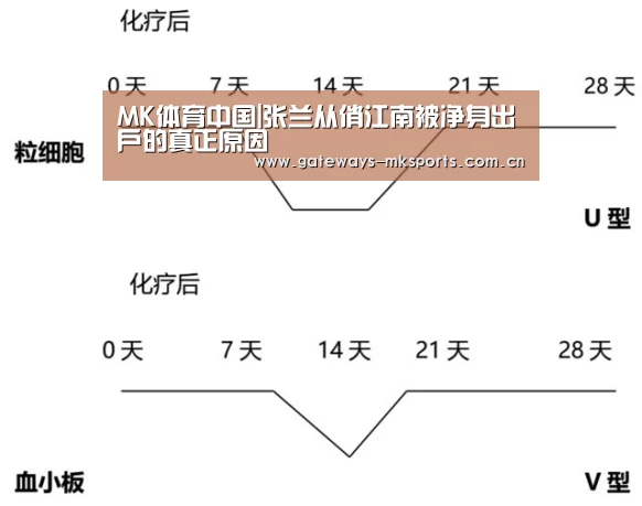 MK体育官网