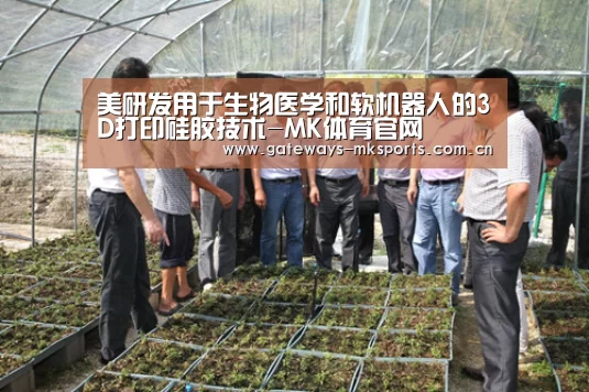MK体育中国