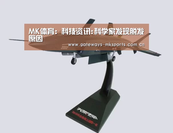 MK SPORT