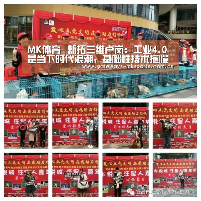 MK体育-新拓三维卢岗:工业4.0是当下时代浪潮,基础性技术拖慢中国工业前进(图1) MK体育官网